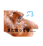 Fayくん♡3（個別スタンプ：2）