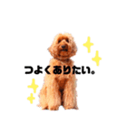 Fayくん♡3（個別スタンプ：3）
