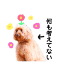 Fayくん♡3（個別スタンプ：6）