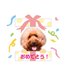 Fayくん♡3（個別スタンプ：14）