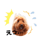 Fayくん♡3（個別スタンプ：19）
