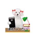 こぶた＆おーじ20180219（個別スタンプ：2）