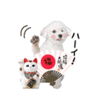 こぶた＆おーじ20180219（個別スタンプ：8）