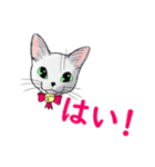 しろねこネオ02（個別スタンプ：1）