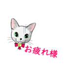 しろねこネオ02（個別スタンプ：4）