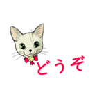 しろねこネオ02（個別スタンプ：13）