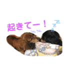 三つ子のダックスの日常（個別スタンプ：21）