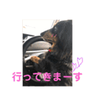 三つ子のダックスの日常（個別スタンプ：23）