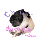 フレブル♡ぼんぼん（個別スタンプ：5）