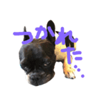 フレブル♡ぼんぼん（個別スタンプ：14）