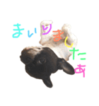 フレブル♡ぼんぼん（個別スタンプ：15）