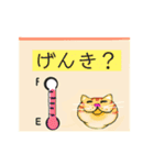 メモねこぽっちゃり（個別スタンプ：7）