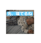 もちはる①（個別スタンプ：1）