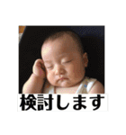 もちはる①（個別スタンプ：5）