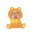 もちはる①（個別スタンプ：19）
