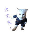 猫ズ2（個別スタンプ：4）