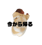 ベビ男くんのスタンプ（個別スタンプ：23）