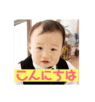 もちはる③（個別スタンプ：1）