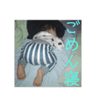 もちはる③（個別スタンプ：25）
