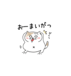 まるネコさん 01（個別スタンプ：16）