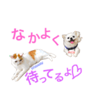 m＆s Buddies（個別スタンプ：17）