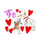 m＆s Buddies（個別スタンプ：19）