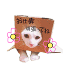 m＆s Buddies（個別スタンプ：22）