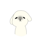 無邪気な赤ちゃん犬（個別スタンプ：11）