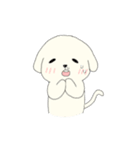 無邪気な赤ちゃん犬（個別スタンプ：19）