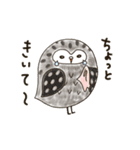 パートナーに物申す〜。本音代言ふくろう（個別スタンプ：14）