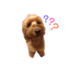 Fayくん♡♡（個別スタンプ：15）