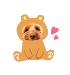 Fayくん♡♡（個別スタンプ：16）