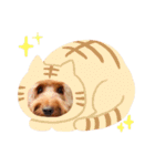 Fayくん♡♡（個別スタンプ：19）
