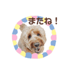 Fayくん♡♡（個別スタンプ：21）