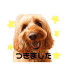 Fayくん♡♡（個別スタンプ：22）
