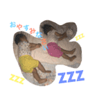 だいこのtwinsだよー（個別スタンプ：6）