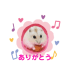 ハムスターのあいさつスタンプ（個別スタンプ：5）