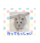 ハムスターのあいさつスタンプ（個別スタンプ：6）