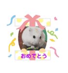 ハムスターのあいさつスタンプ（個別スタンプ：15）