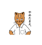 いりおもて博士語録（個別スタンプ：1）