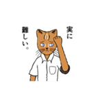 いりおもて博士語録（個別スタンプ：11）