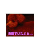メロに夢中vol.1（個別スタンプ：5）
