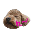 メロに夢中vol.1（個別スタンプ：7）