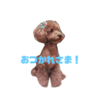 メロに夢中vol.1（個別スタンプ：10）