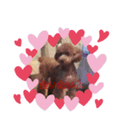 メロに夢中vol.1（個別スタンプ：11）