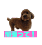 メロに夢中vol.1（個別スタンプ：14）