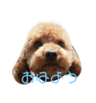 メロに夢中vol.1（個別スタンプ：15）