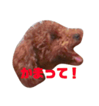 メロに夢中vol.1（個別スタンプ：17）