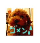 メロに夢中vol.1（個別スタンプ：19）