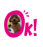 メロに夢中vol.1（個別スタンプ：20）